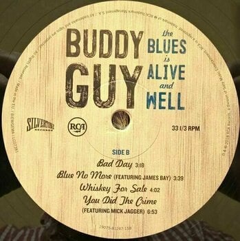 LP Buddy Guy - Blues Is Alive and Well (2 LP) - 4