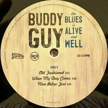 LP Buddy Guy - Blues Is Alive and Well (2 LP) - 5