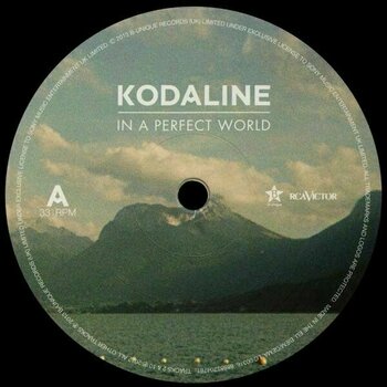 Hanglemez Kodaline - In A Perfect World (LP) - 4