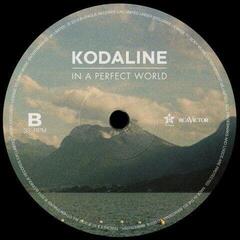 Hanglemez Kodaline - In A Perfect World (LP) - 3