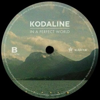 LP Kodaline - In A Perfect World (LP) - 5