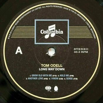 Hanglemez Tom Odell - Long Way Down (LP) - 3