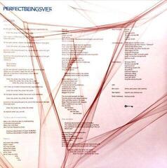 Δίσκος LP Perfect Beings - Vier (2 LP + CD) - 4
