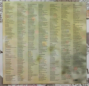 Vinyl Record Ellie Goulding - Lights (2 LP) - 6