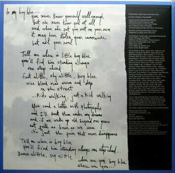Hanglemez Cyndi Lauper - True Colors (LP) - 4