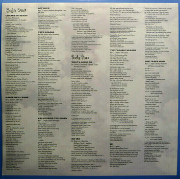 Hanglemez Cyndi Lauper - True Colors (LP) - 5