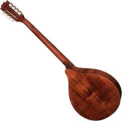 Bouzouki Hora M1089 Bouzouki - 1