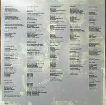 Disco in vinile Psychotic Waltz - God-Shaped Void (2 LP + CD) - 4