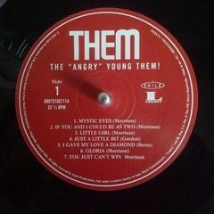 Δίσκος LP Them - Angry Young Them (LP) - 1