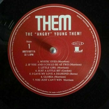 Disco in vinile Them - Angry Young Them (LP) - 2