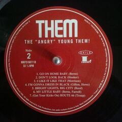 Δίσκος LP Them - Angry Young Them (LP) - 2
