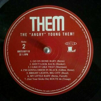 Disco in vinile Them - Angry Young Them (LP) - 3