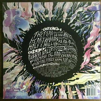 LP Shins - The Worm's Heart (LP) - 3