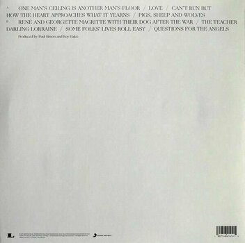 LP Paul Simon - In The Blue Light (LP) - 2