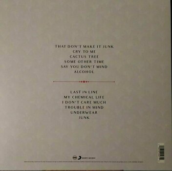 LP Hailey Tuck - Junk (LP) - 2