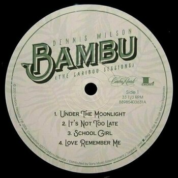 Disco in vinile Dennis Wilson - Bambu (The Caribou Session) (Coloured) (2 LP) - 3