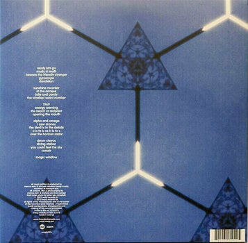 Disco in vinile Boards of Canada - Geogaddi (3 LP) - 18