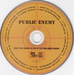 Hudební CD Public Enemy - What You Gonna Do When The Grid Goes Down? (CD) - 1