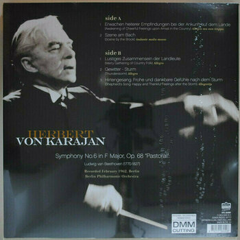 Vinyl Record Ludwig van Beethoven - Symphony No. 6 Pastoral (LP) - 2
