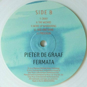 Disque vinyle Pieter de Graaf Fermata (Transparent) (LP) - 3