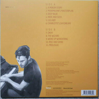 Disque vinyle Pieter de Graaf Fermata (Transparent) (LP) - 4