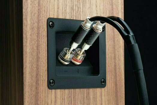 Coluna de chão Hi-Fi Pro-Ject Speaker Box 10 S2 Nogueira - 3