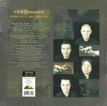 Płyta winylowa Friedemann - Echoes of a Shattered Sky (LP) - 4