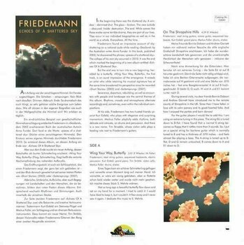 Płyta winylowa Friedemann - Echoes of a Shattered Sky (LP) - 2