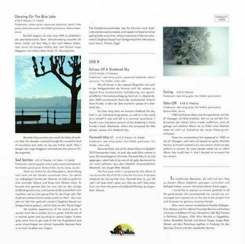LP Friedemann - Echoes of a Shattered Sky (LP) - 3
