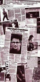 LP Marshall Crenshaw - Marshall Crenshaw (Limited Edition) (LP) - 2