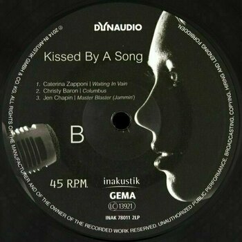 Płyta winylowa Various Artists - Kissed By A Song (2 LP) - 6