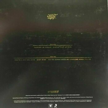 LP ploča Bob Dylan - Blood On The Tracks (2 LP) - 7