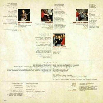 Disco in vinile Alison Krauss - So Long So Wrong? (2 LP) - 9