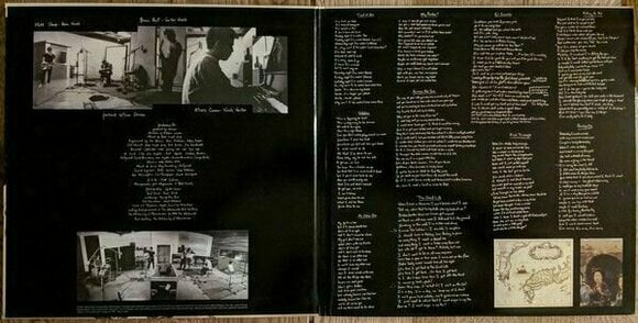 Hanglemez Weezer - Pinkerton (Limited Edition) (LP) - 3