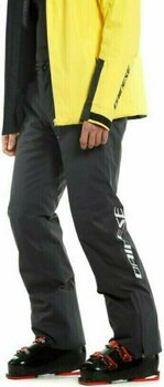 Spodnie narciarskie Dainese HP Barchan P Stretch Limo XL - 3