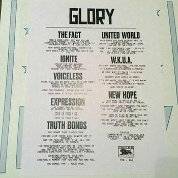 Δίσκος LP Glory - The 12" (LP) - 2