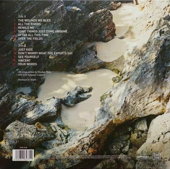 Płyta winylowa Heather Nova - Pearl (LP) - 4