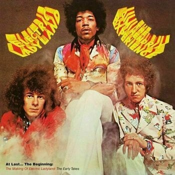 LP Jimi Hendrix - Electric Ladyland (Anniversary Edition) (7 LP) - 3