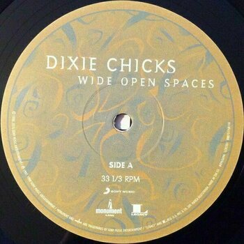 Dixie Chicks - Wide Open Spaces (LP)