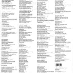 LP ploča Belle and Sebastian - If You're Feeling Sinister (LP) - 3