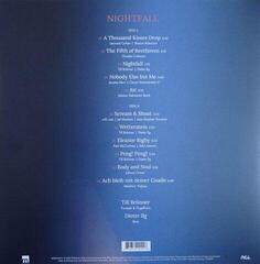 LP deska Till Bronner/Dieter Ilg - Nightfall (LP) - 1
