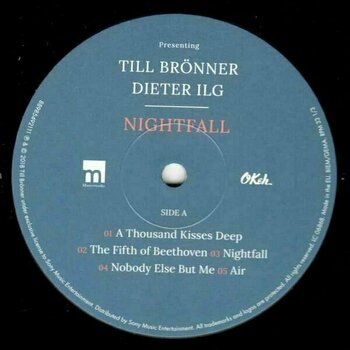 Disco in vinile Till Bronner/Dieter Ilg - Nightfall (LP) - 3