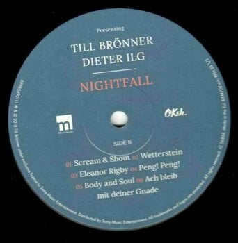 Disco in vinile Till Bronner/Dieter Ilg - Nightfall (LP) - 4