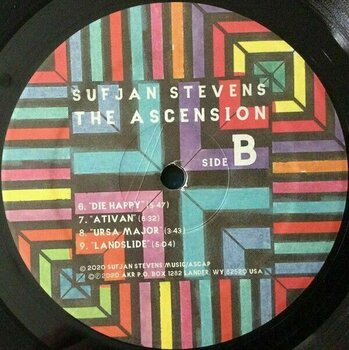 Disc de vinil Sufjan Stevens - The Ascension (2 LP) - 4