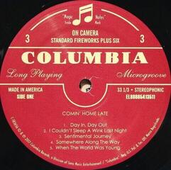 LP ploča Bob Dylan - Triplicate (Deluxe Edition) (3 LP) - 6