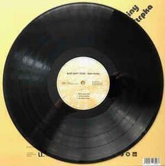 LP ploča Ursíny / Štrpka - Nové mapy ticha (LP) - 3