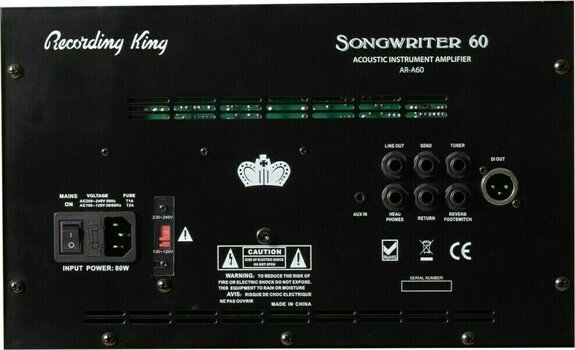 Combo pour instruments acoustiques-électriques Recording King AR-A60 - 3