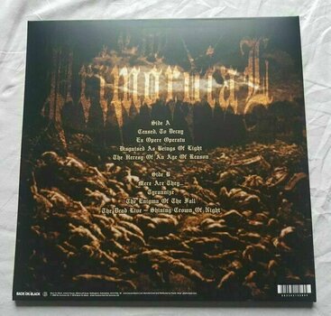 Vinyl Record Thy Primordial - The Heresy Of An Age Of Reason (LP) - 2