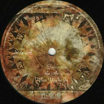 Płyta winylowa Tiamat - Gaia (Reissue) (LP) - 2