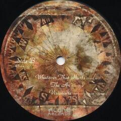 LP ploča Tiamat - Gaia (Reissue) (LP) - 3